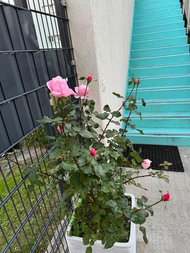Hotel Koenig Vienna Luaran gambar
